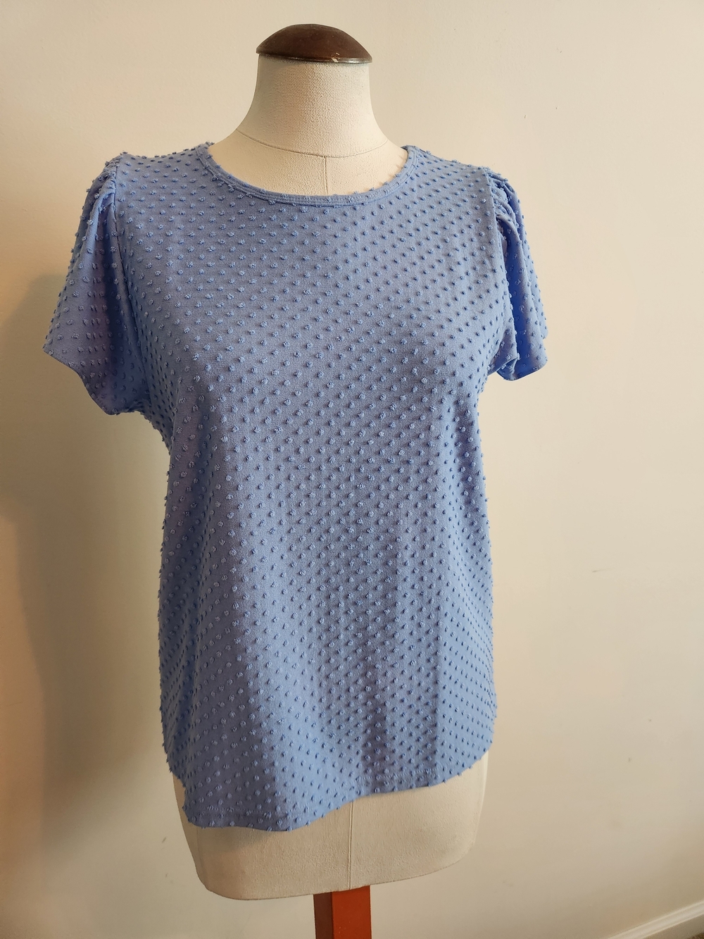 J. Crew Powder Blue Swiss Dot Short Sleeve Tee